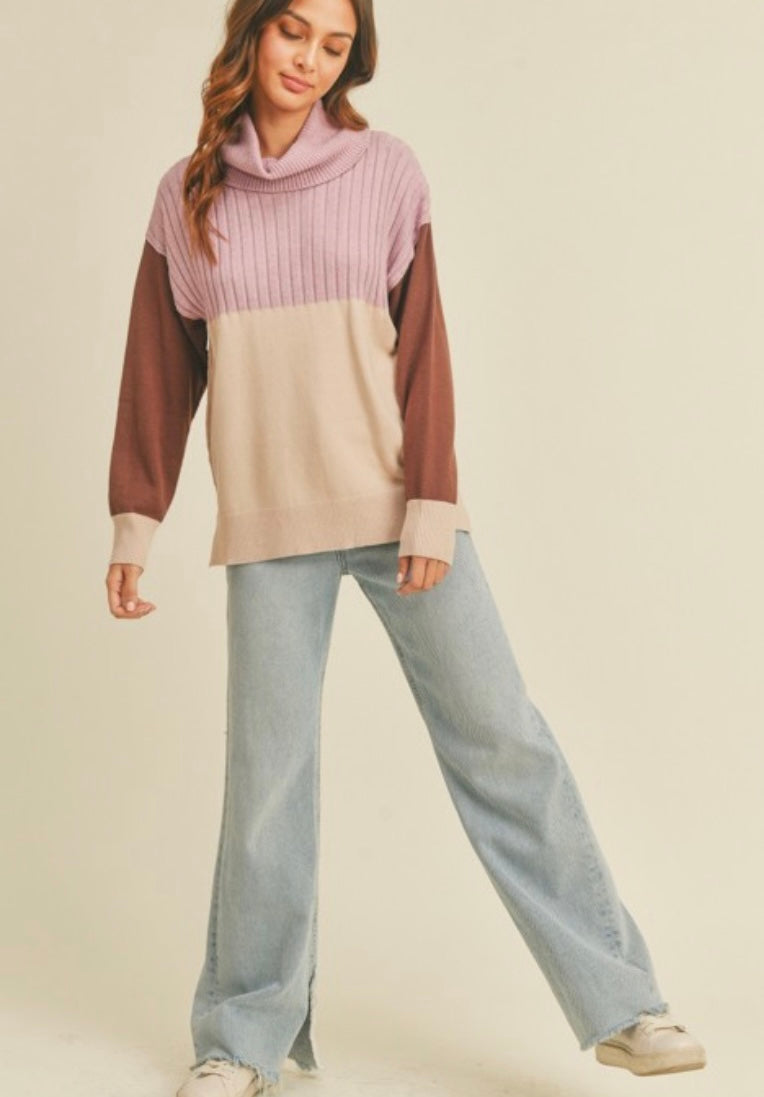 Cowlneck Colorblock Sweater